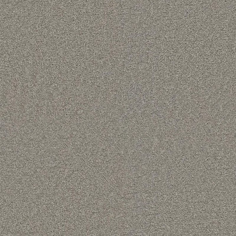 Silver+Birch-1-1920w